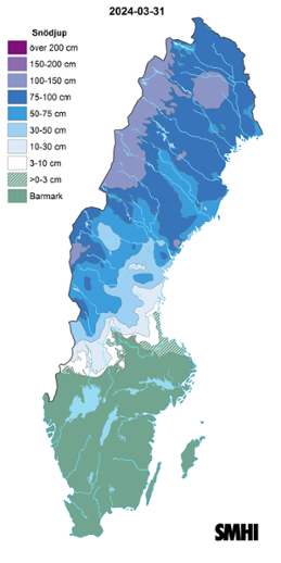Sverigekarta som visar snödjupet den 31 mars 2024.