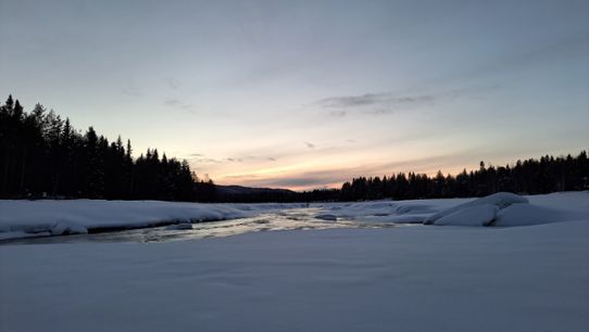 Vinterlandskap i solnedgång.