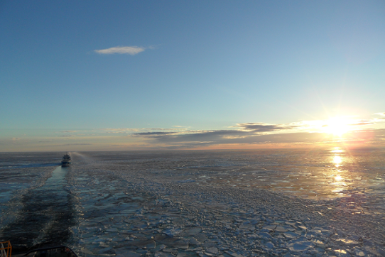 Bilden visar ett isfält i solnedgång. I isfältet syns en isbrytarrännan och ett fartyg. 