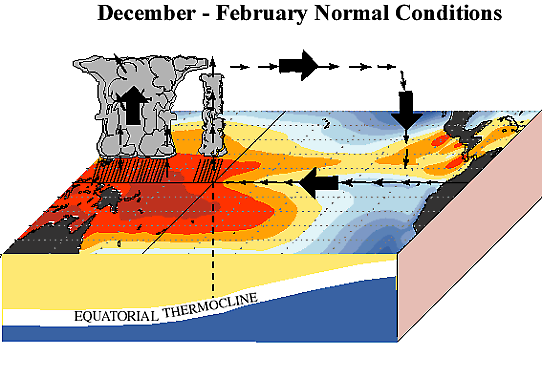Figur 7. Principskiss av normalförhållandena under norra halvklotets vinter
