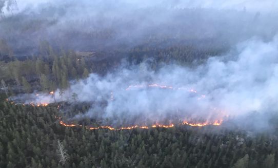 Skogsbrand i Trängslet sommaren 2018.