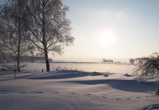 Snötäckt landskap med blek vintersol över slättland, foto.