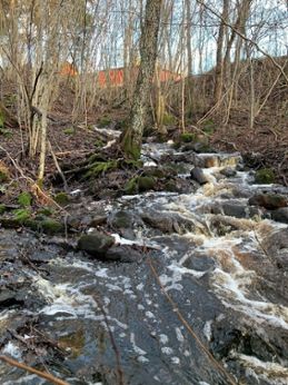 Efter en nederbördsrik december fylldes vattendrag i nordöstra Götaland med vatten. Hyttabäcken, Krokek, 2012-12-23 Foto: Maud Goltsis Nilsson