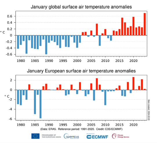 Bilden visar ett stapeldiagram men temperaturavvikelser för olika januarimånader 1979-2024 globalt och för Europa.