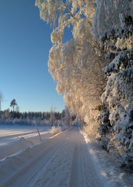 Det blev en riktigt vit jul ner till norra Götaland.