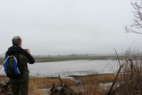 Göran står med ryggen mot fotot och tittar ut över ett översvämmat jordbrukslandskap