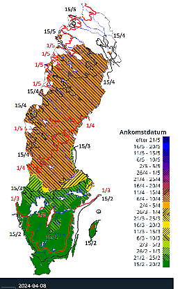 Den 8 april, det första av de sju dygnen den 8-14 april, hade den meteorologiska våren nått upp till norra Norrland.