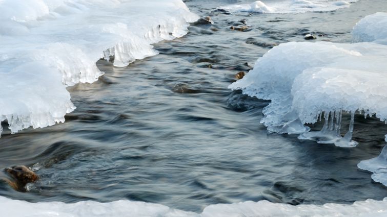 Vatten forsar fram mellan is och snö.