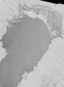Satellitbild från Sentinel-1A 7 mars.
