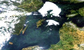 Algblomning i Östersjön den 7 augusti 2015. 
