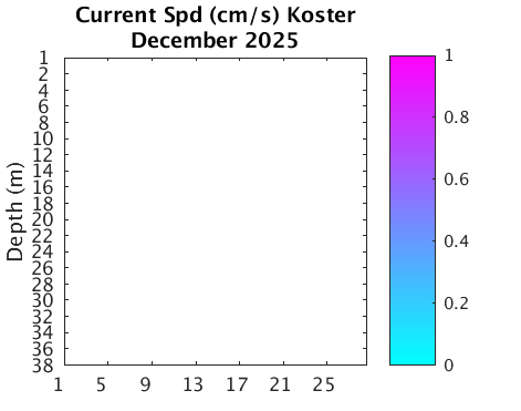 Koster_Current Current_month