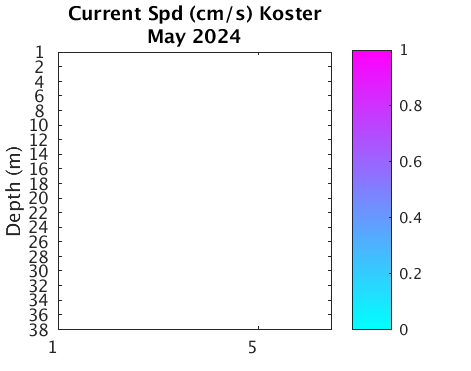 Koster_Current Current_month