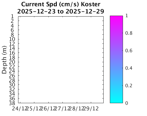 Koster_Current Last_week
