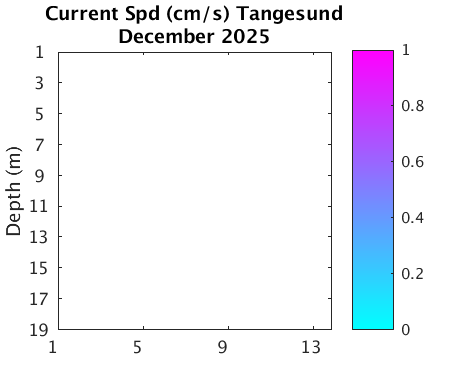 Tangesund_Current Current_month