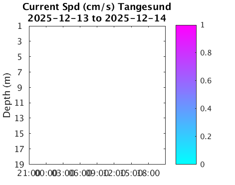 Tangesund_Current Last_24h