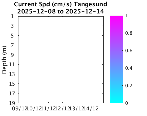 Tangesund_Current Last_week