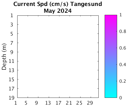 Tangesund_Current Previous_month