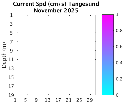 Tangesund_Current Previous_month