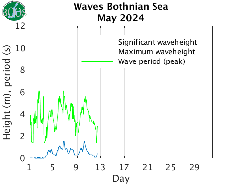 Waves Bothnian Sea