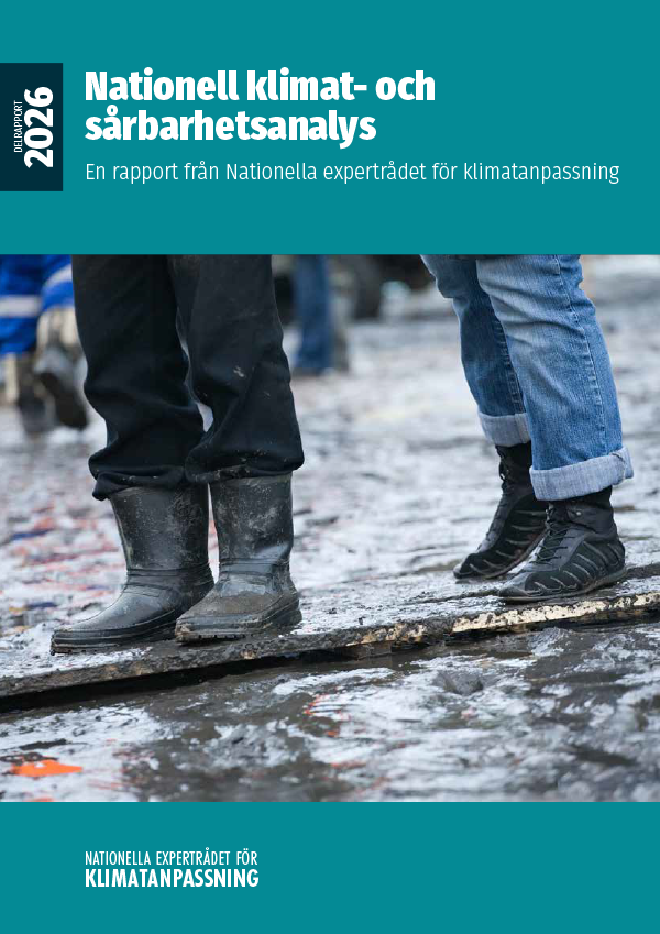 Rapportens framsida.