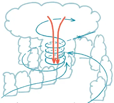 Illustration som visar hur vindar rör sig i en tropisk cyklon.