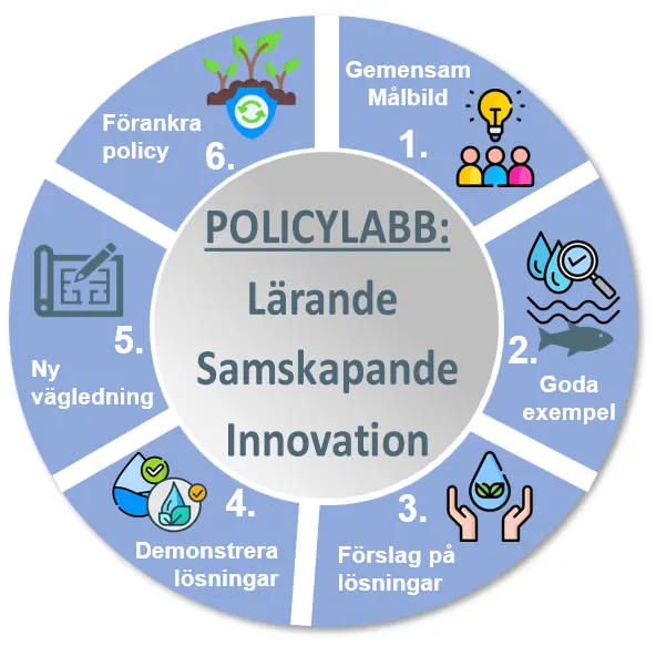 Cirkel uppdelad i sex delar som representerar projektets olika policylabb.