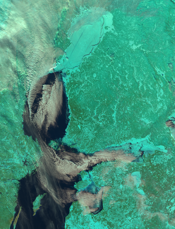 Isläget 31 januari. Bottenviken och Norra Kvarken helt islagda. Optisk bild, NOAA.