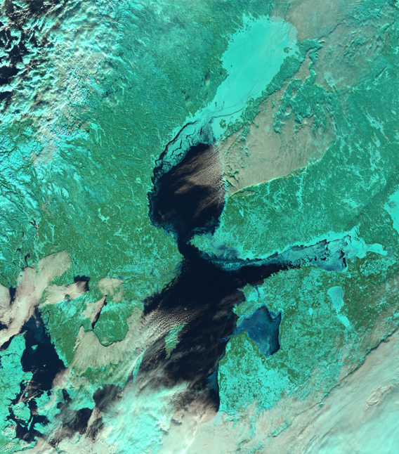 Isläget 14 februari. På bilden kan man se att det förekommer is även på Skagerrak och norra Kattegatt. Optisk bild, NOAA