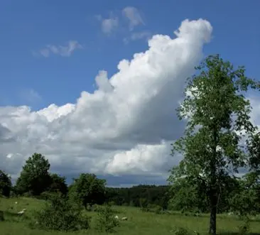Foto på himlen där ett molnfenomen bildats.