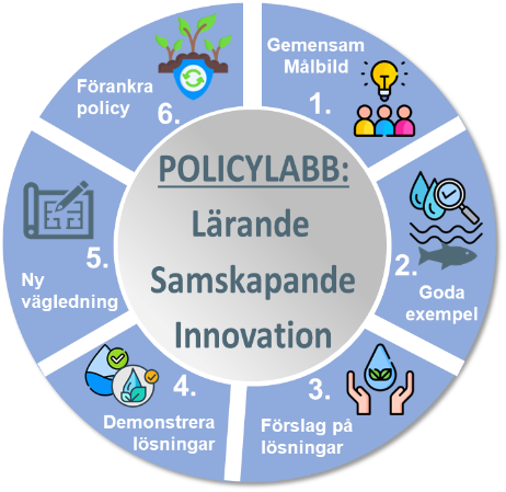 Illustration som visar en cirkel med sex olika delar, som representerar de olika labbtillfällena.