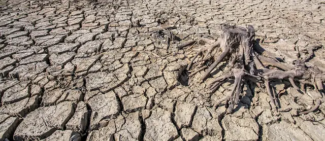 En sjö som har torkat ut.