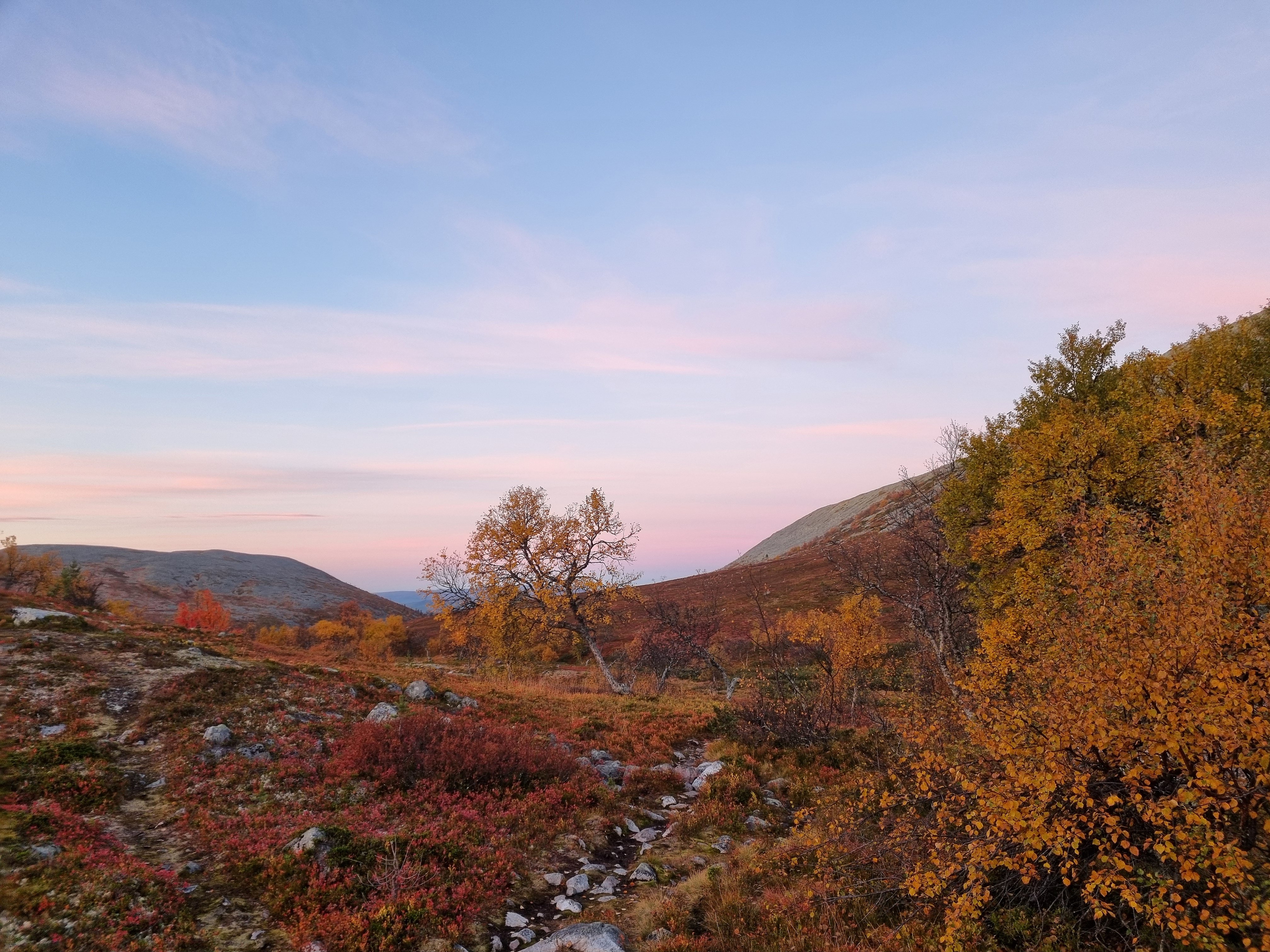 Bilden visar Sonfjällets fot i Härjedalen morgonen den 27 september 2026.