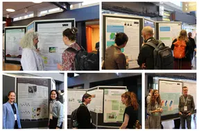 Kollage av bilder från klimatsymposiet som ägde rum i Norrköping 2024.