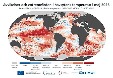 Karta som visar temperaturavikelser i världshaven för maj 2026