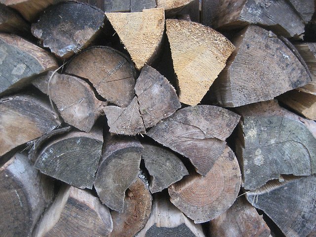 Torra vedträn staplade i väntan på att eldas. 