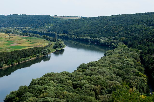 Aerial photo of a river with surrounding greenery.