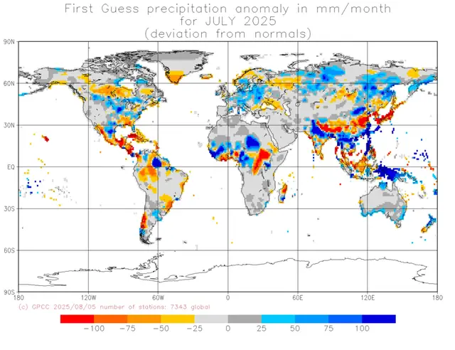 Världskarta som visar nederbördens avvikelse från det normala i olika områden under juli 025.