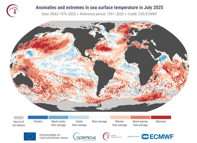 Karta över världshaven som visar ytvattnets avvikelse från det normala i juli 2025.