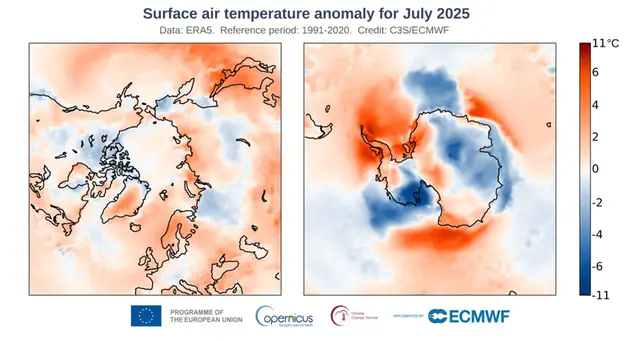 Kartor över Arktis respektive Antarktis som visa månadsmedeltemperaturens avvikelse från det normala i juli 2025.