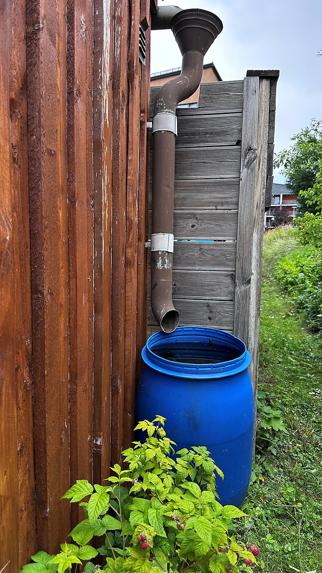 Stuprör som leder vatten från tak till en tunna.