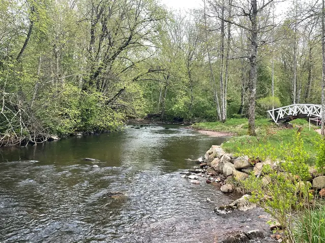 Strömmande vattendrag i vårmiljö, vit träbro i fonden.
