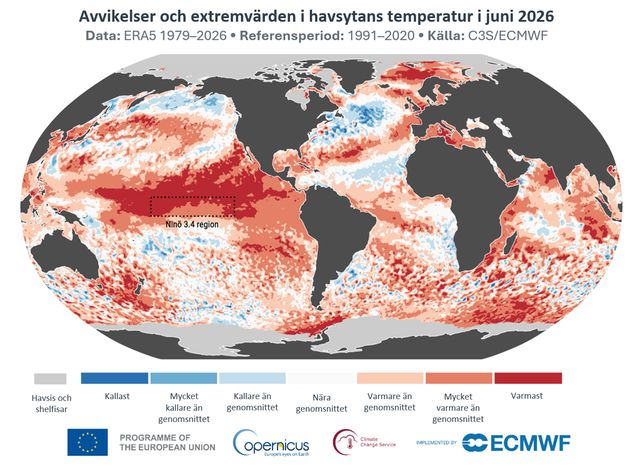 Avvikelser och extremvärden i havsytans temperatur i juni 2026