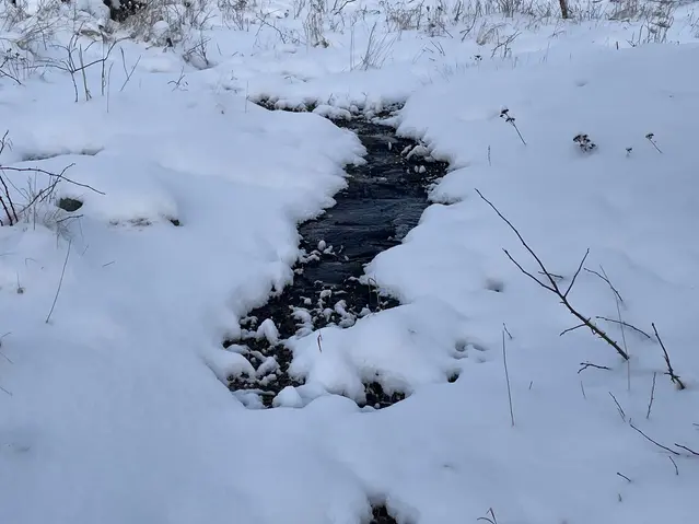 Snötäckt mark och en bäck med smältvatten.