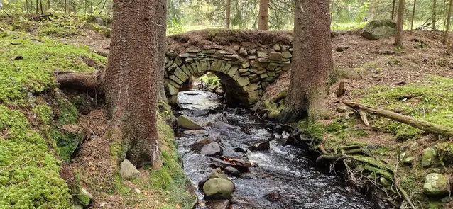 Bro över bäck i skogen.