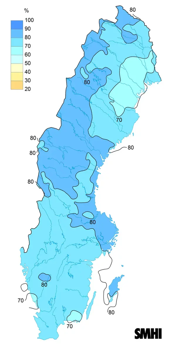 Medelvärde av molnighet klockan 07, 13 och 19 under januari 2024.