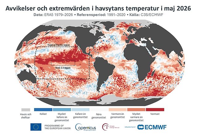 Karta som visar temperaturavikelser i världshaven för maj 2026