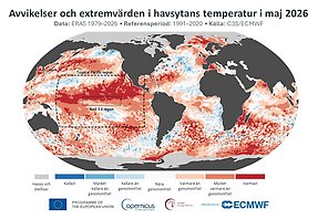 Karta som visar temperaturavikelser i världshaven för maj 2026