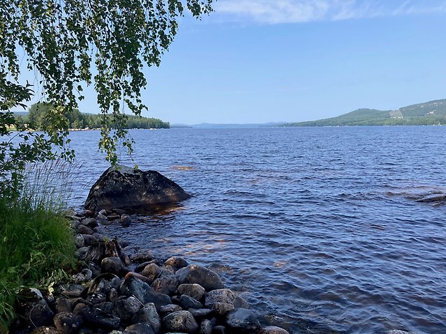 Stor fri vattenyta, i fonden stenstrand och björkgrenar.