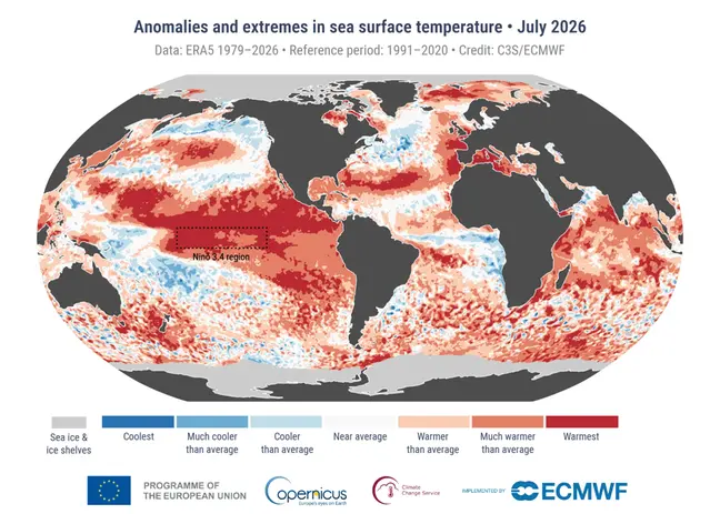 Karta med temperaturavvikelser i världshaven i juli 2026.