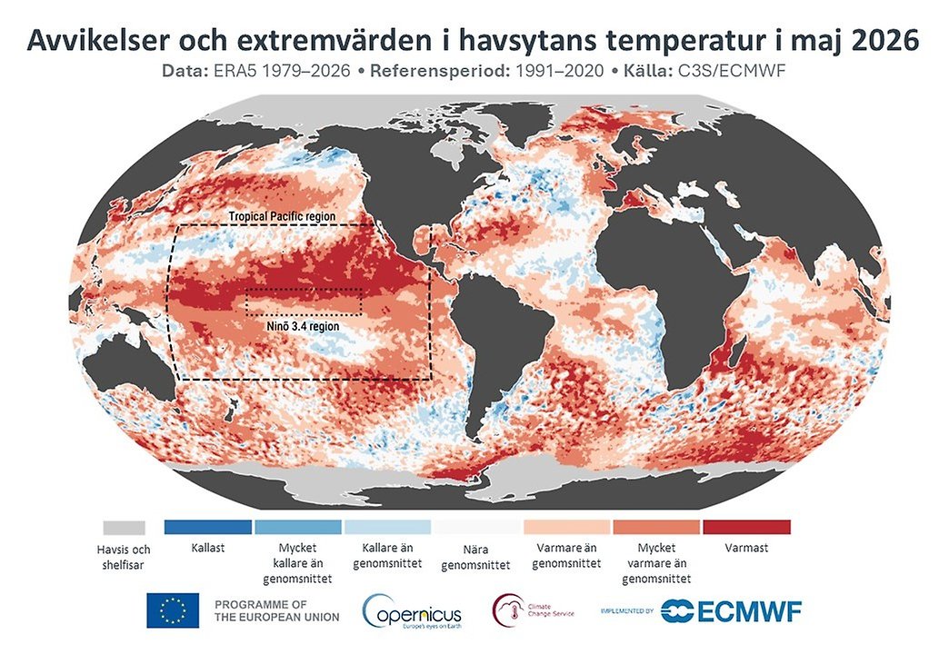 Karta som visar temperaturavikelser i världshaven för maj 2026